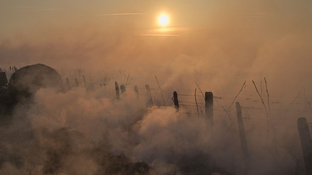 Fotky vinic zahalených kouřem: Francie bojuje s mrazem o úrodu